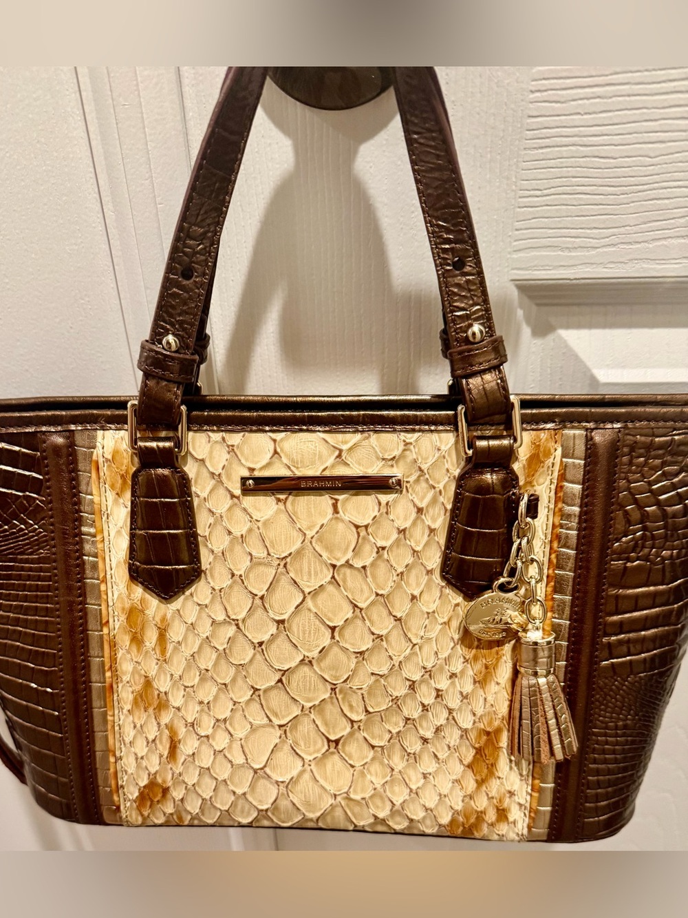 Brahmin NWOT Mini Asher multi shades with dust bag